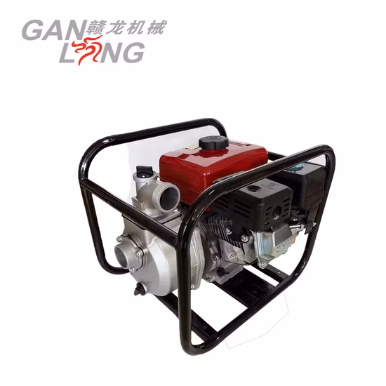 Pompe à eau propre haute pression pour petit moteur à essence/essence 2 pouces 3 pouces (5,5 HP 6,5 HP)